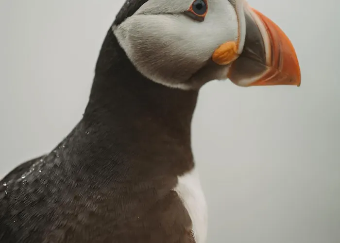 Panorama - Highlight View Apartment *