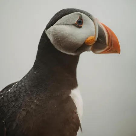 Panorama - Highlight View Lägenhet *